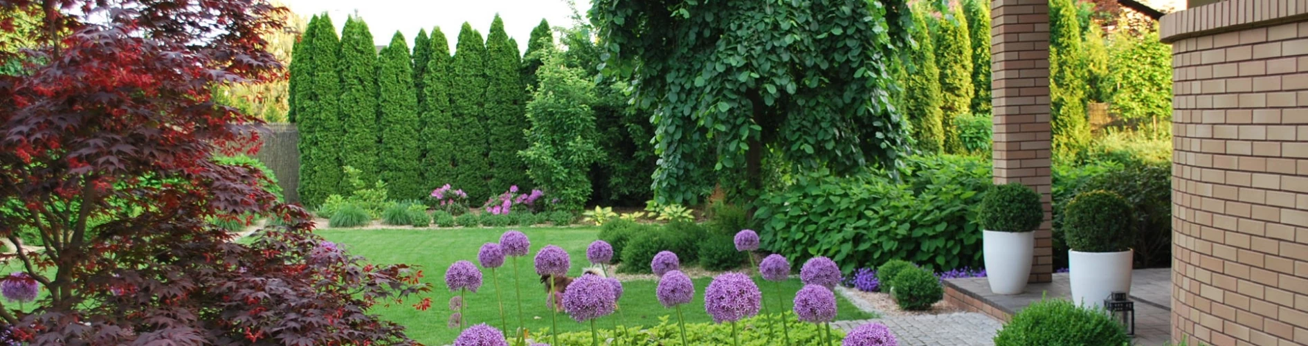 ogród z fioletowymi kwiatami